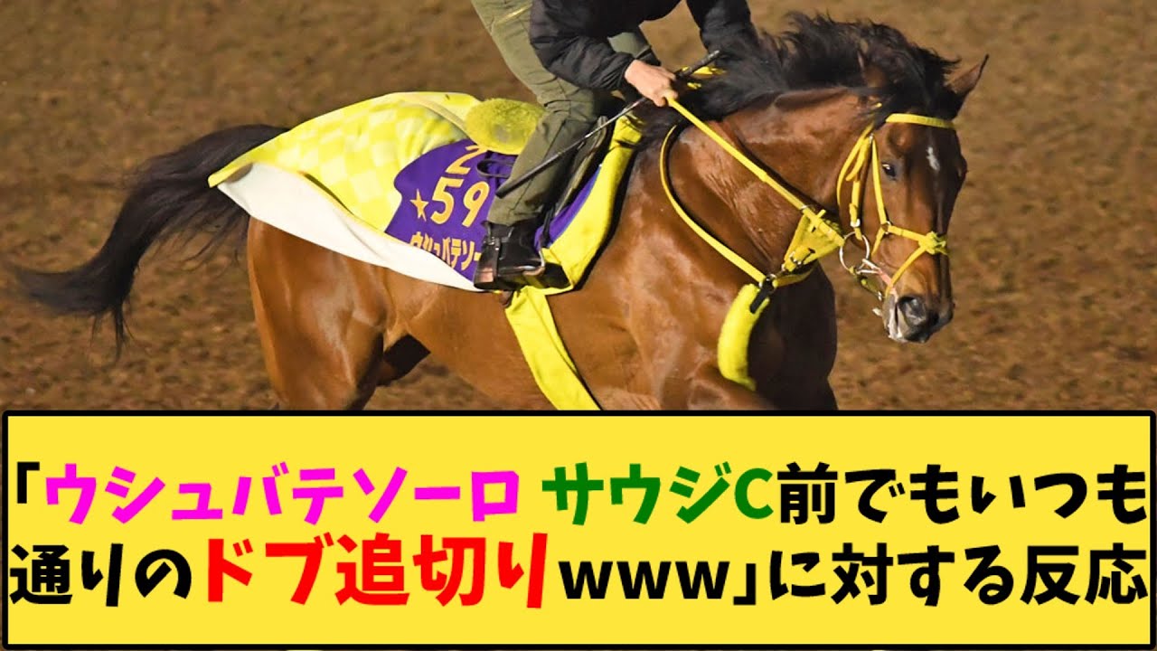 【競馬】「ウシュバテソーロ サウジC前でもいつも通りのドブ追切りwww」に対する反応【反応集】