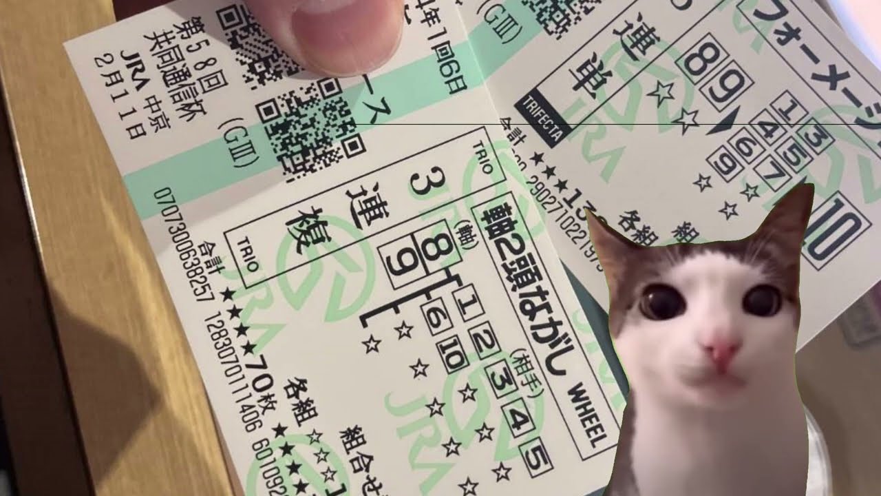 競馬中毒の1日【共同通信杯】猫ミーム＃猫ミーム