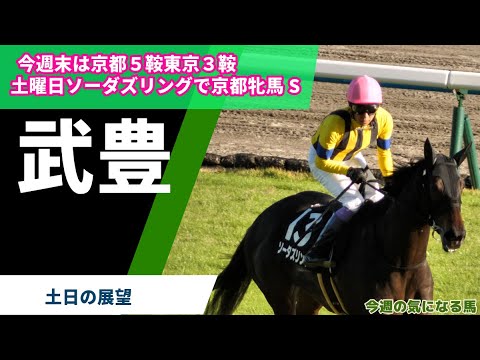 【武豊】今週末は土曜京都５鞍、日曜東京３鞍！土曜京都牝馬Sはソーダズリング、日曜フェブラリーSはセキフウ