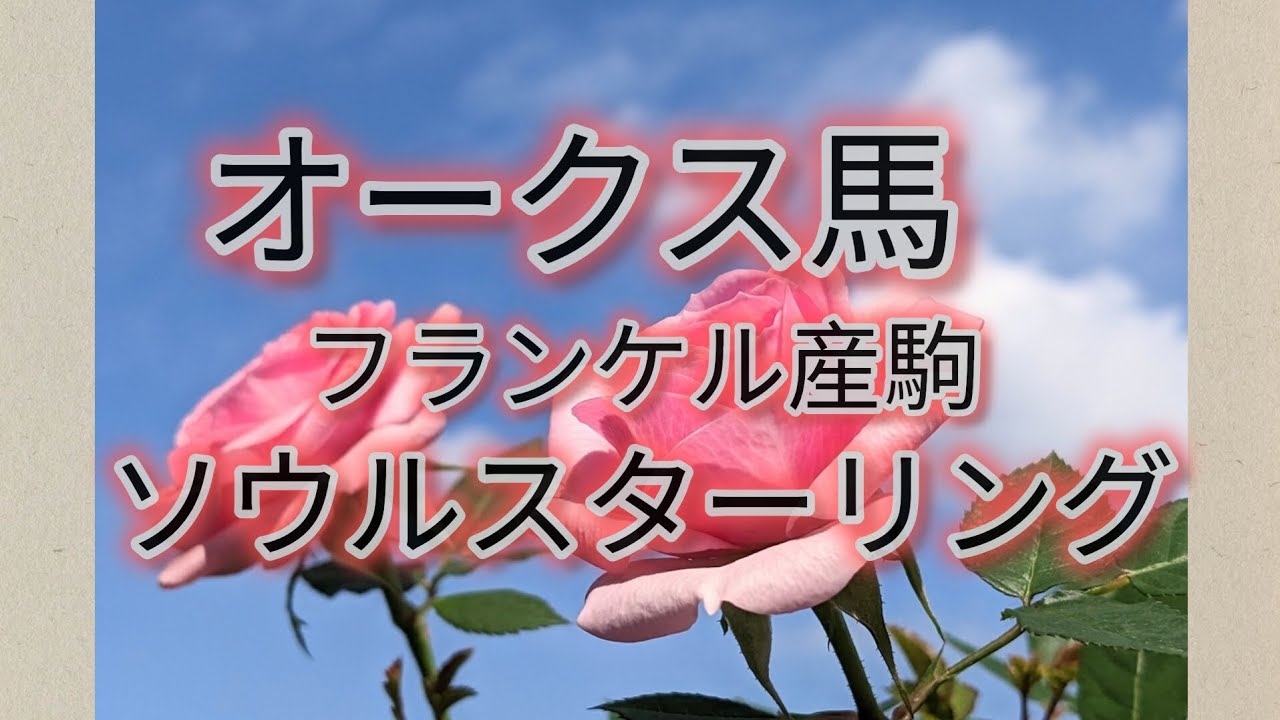 【クレーンゲーム】ヨーロッパの最強種牡馬「フランケル」産駒で日本のオークスを制覇したソウルスターリングのかわいいぬいぐるみをGETするぞー☺