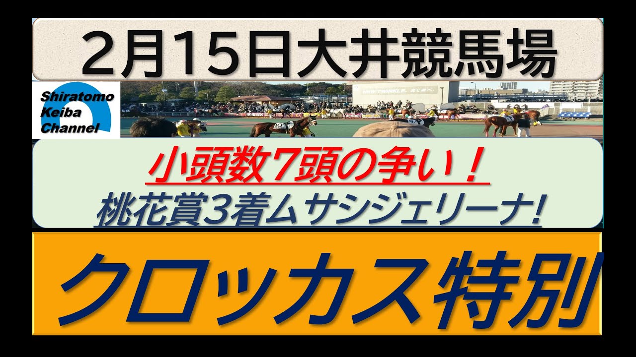【競馬予想】クロッカス特別！～２０２４年２月１５日 大井競馬場 ：２－３４