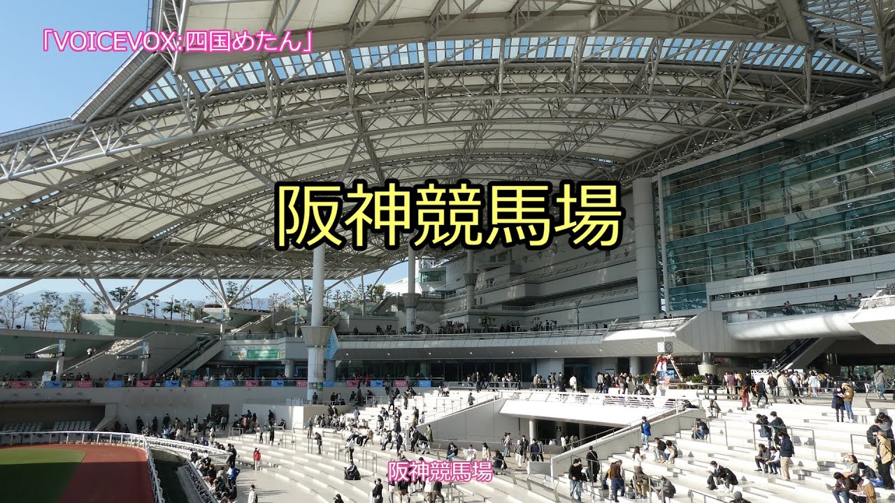 2023年 阪神競馬場 20231210