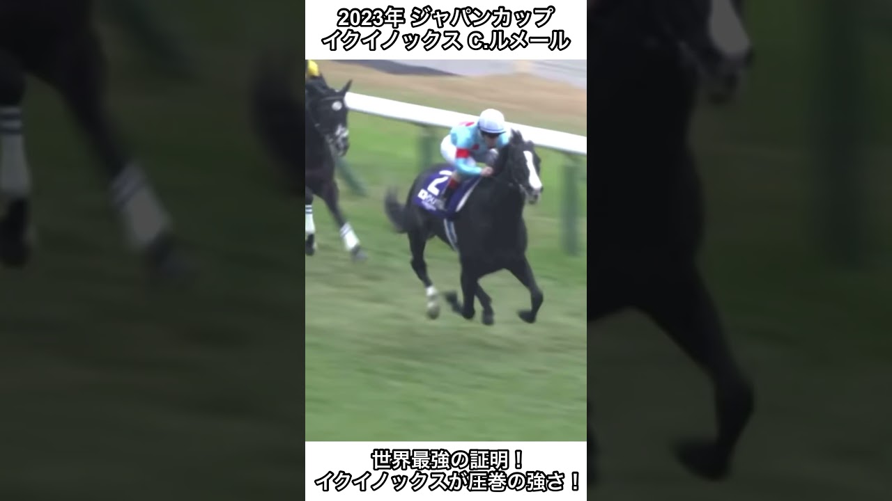 【競馬】世界最強の証明！イクイノックス見事！イクイノックスが突き抜けてジャパンカップ制覇！#競馬 #有馬記念#イクイノックス #shorts