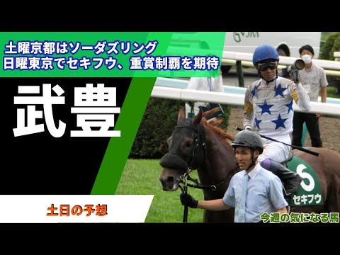 【武豊】土曜京都ソーダズリング、日曜東京セキフウでの勝利を期待！3歳牝馬の目玉候補にも期待！