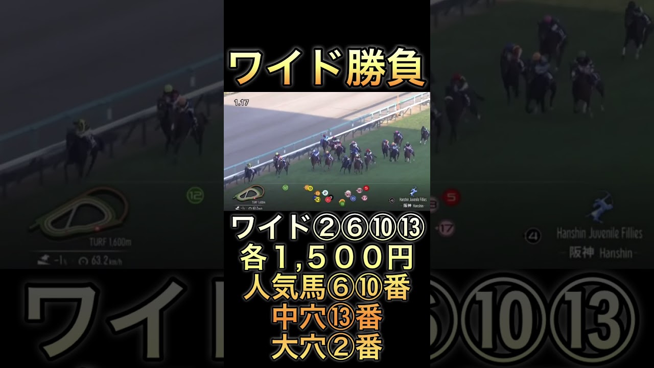 【競馬】馬券勝負！ワイド15,000円買ってみた！#競馬 #大勝負 #ギャンブル