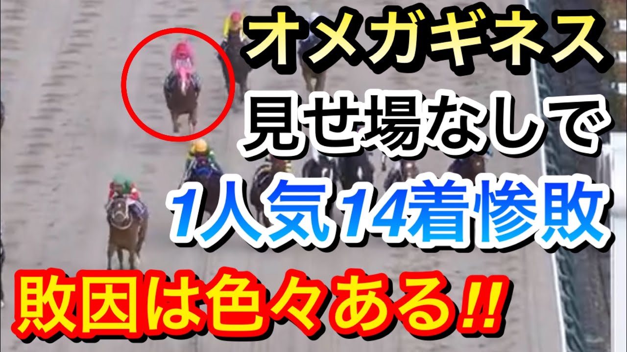 【フェブラリーステークス2024】オメガギネス(1人気)が直線後退していき14着に惨敗…敗因は何だったのか？【競馬の反応集】