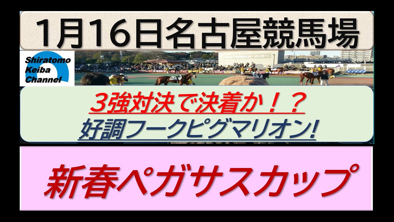 【競馬予想】重賞・新春ペガサスカップ～！～２０２４年１月１６日 名古屋競馬場 ：１－３４