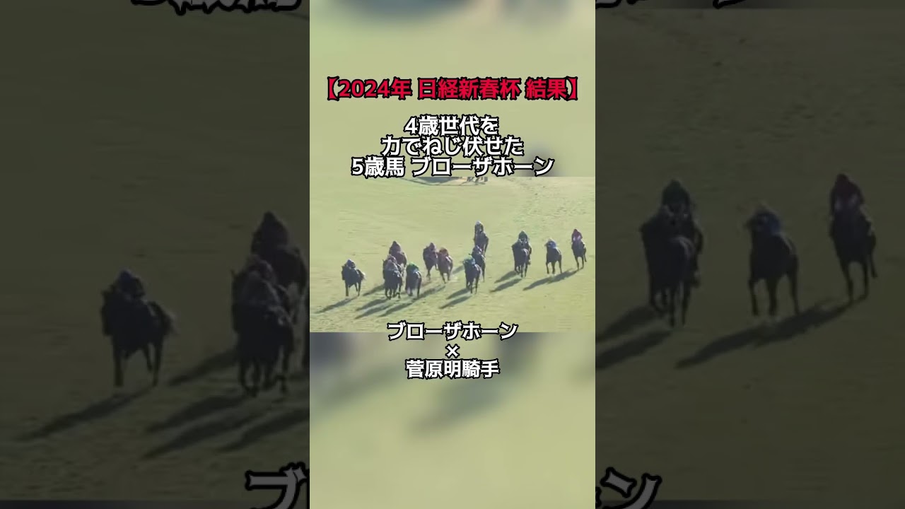 【競馬】2024年 日経新春杯 結果 #競馬 #日経新春杯 #京成杯 #ブローザホーン