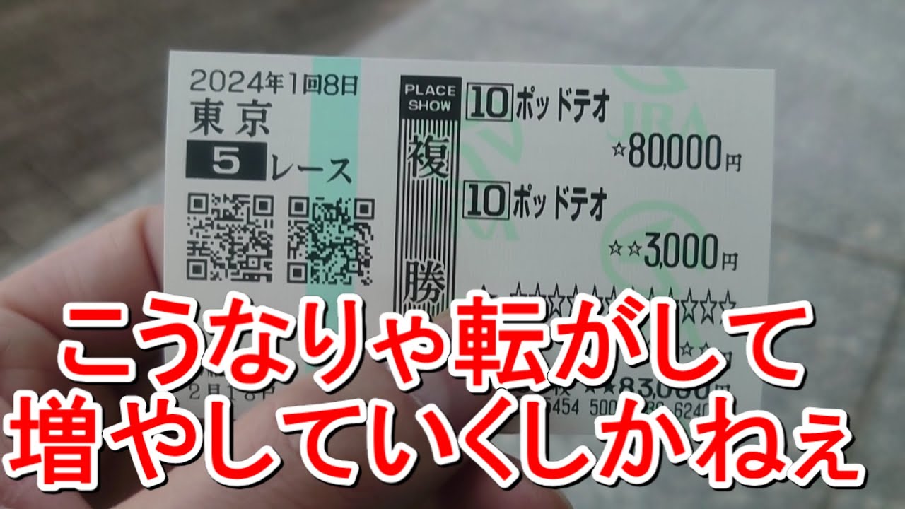 【競馬に人生】フェブラリーステークスデーは転がして楽しんでみた編