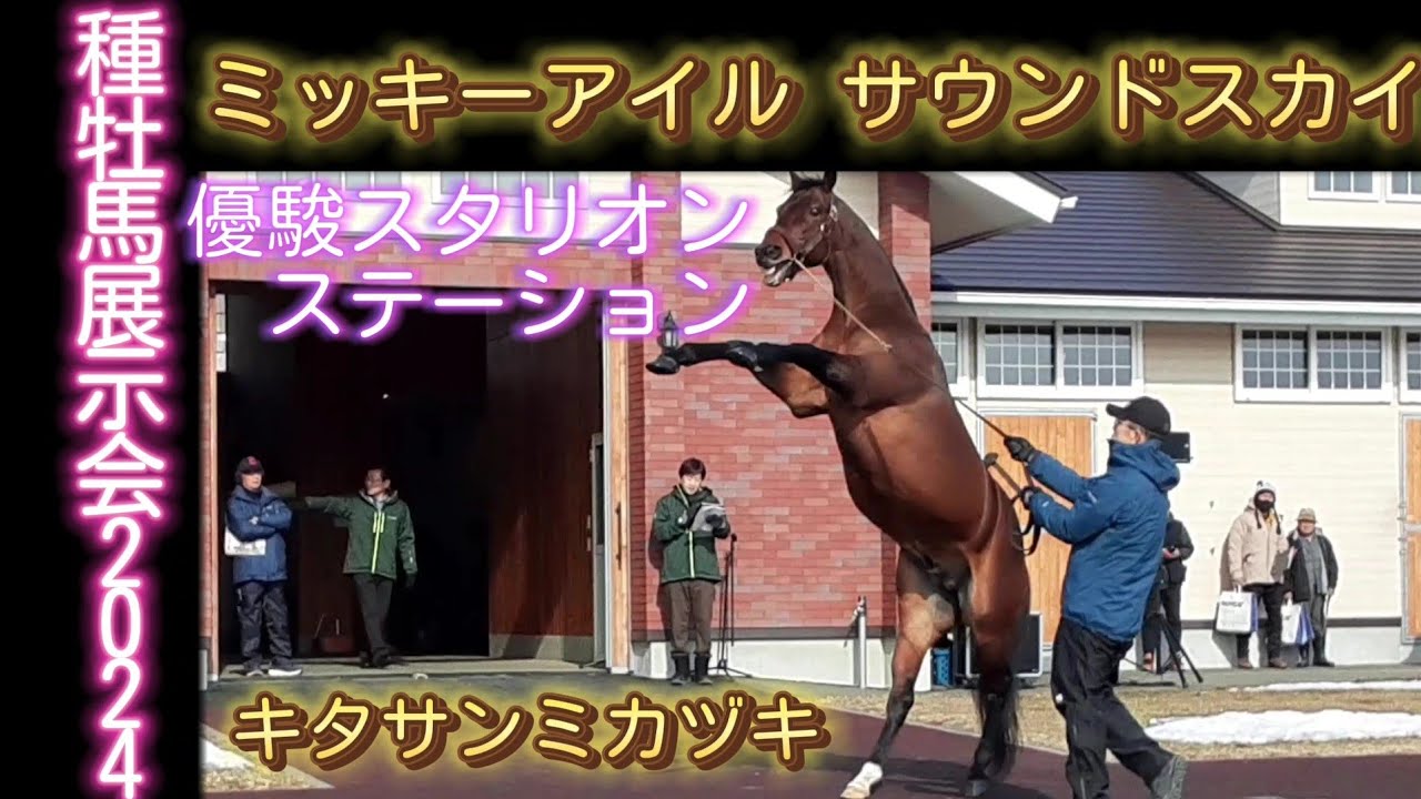 ミッキーアイル サウンドスカイ キタサンミカヅキ 優駿スタリオンステーション 種牡馬展示会2024