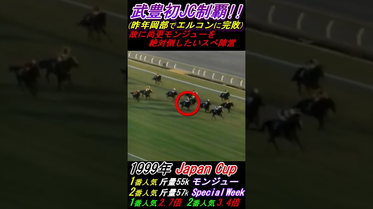 【エルコンドルの敵討ち！】凱旋門で夢を砕いたモンジュー VS 日本総大将スペシャルウィーク！ファン評価はモンジュー1番人気！ ジャパンカップ(G1･1999年) #スペシャルウィーク #モンジュー