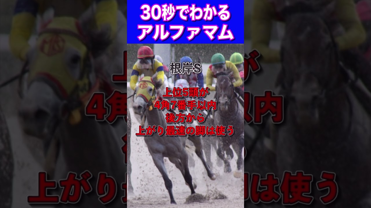 【フェブラリーS2024】30秒でわかるアルファマム