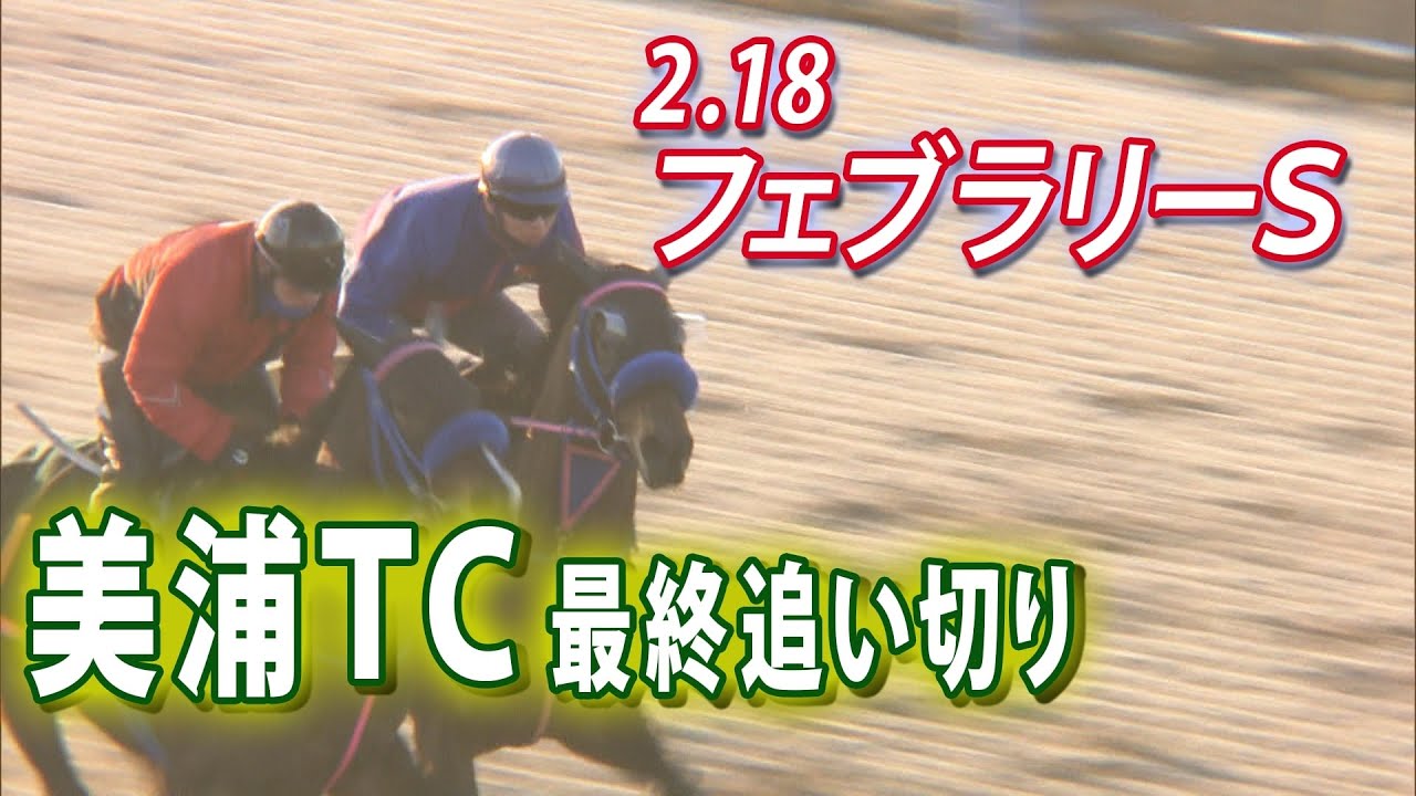 【2024年GⅠ開幕！】フェブラリーステークス　美浦トレセン最終追い切り