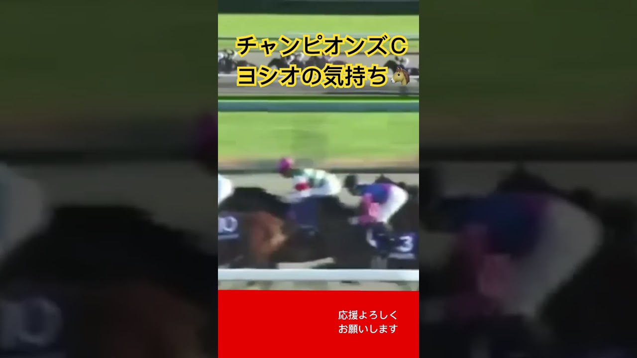 馬の気持ちチャンピオンズＣヨシオレース編  #shorts  #競馬  #馬  #面白い  #可愛い  #癒し #馬の気持ち #horse's feelings