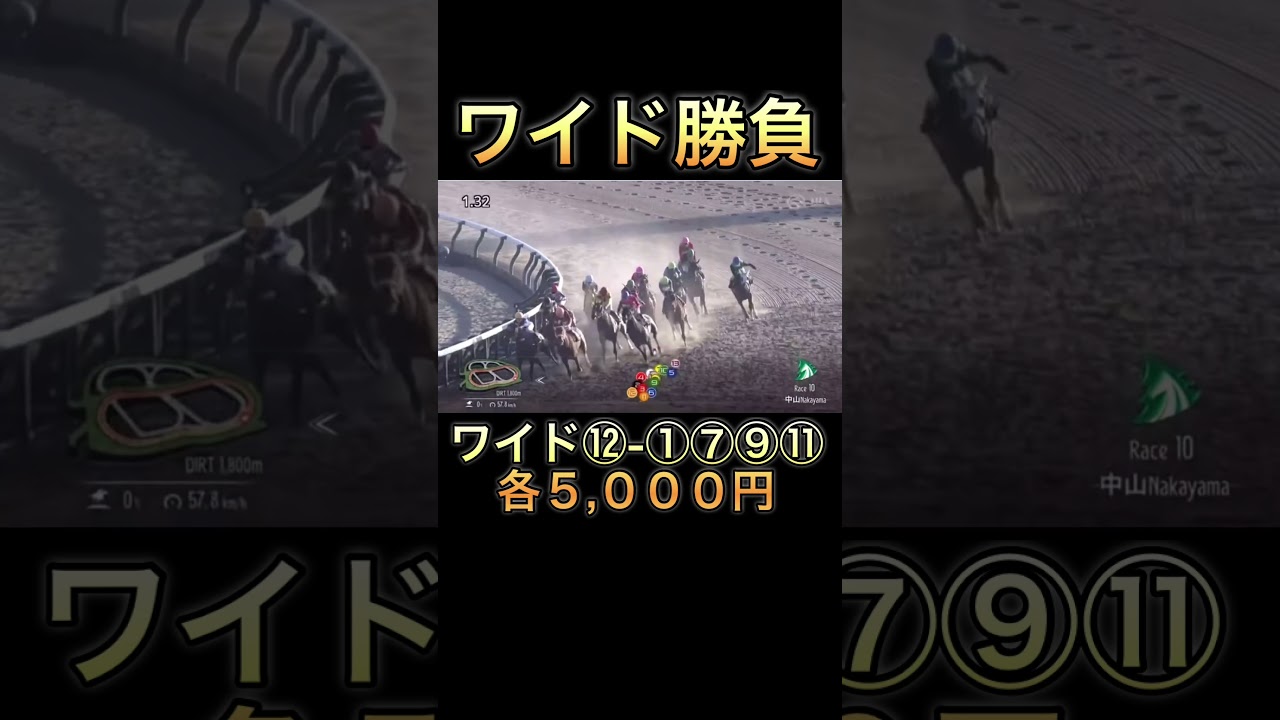 【競馬】馬券勝負！ワイド20,000円買ってみた！ #競馬