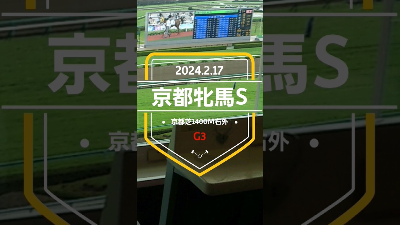 【京都牝馬S2024】上位5頭予想！ヴィクトリアマイルへ向けての前哨戦！ナムラクレア、メイケイエール、プレサージュリフト、ソーダズリング、ロータスランドなど顔ぶれは揃いました！