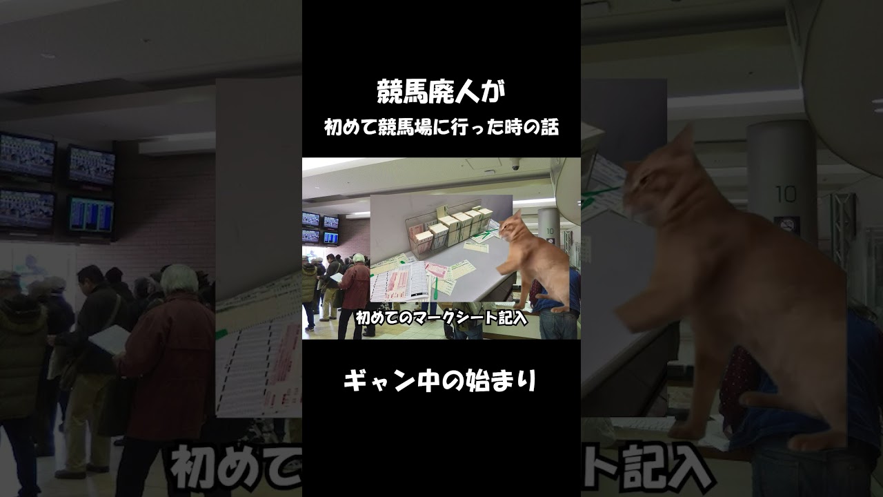 競馬廃人が初めて競馬場に行った時の話 #shorts #猫ミーム