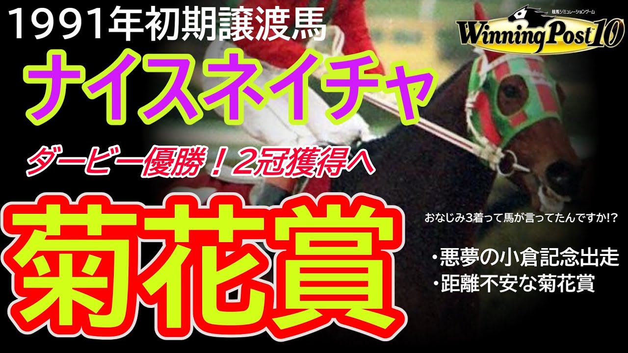 【ウイニングポスト10】〖ナイスネイチャで菊花賞3000mの壁を克服できるのか！？〗帝王骨折でレオダーバン戦