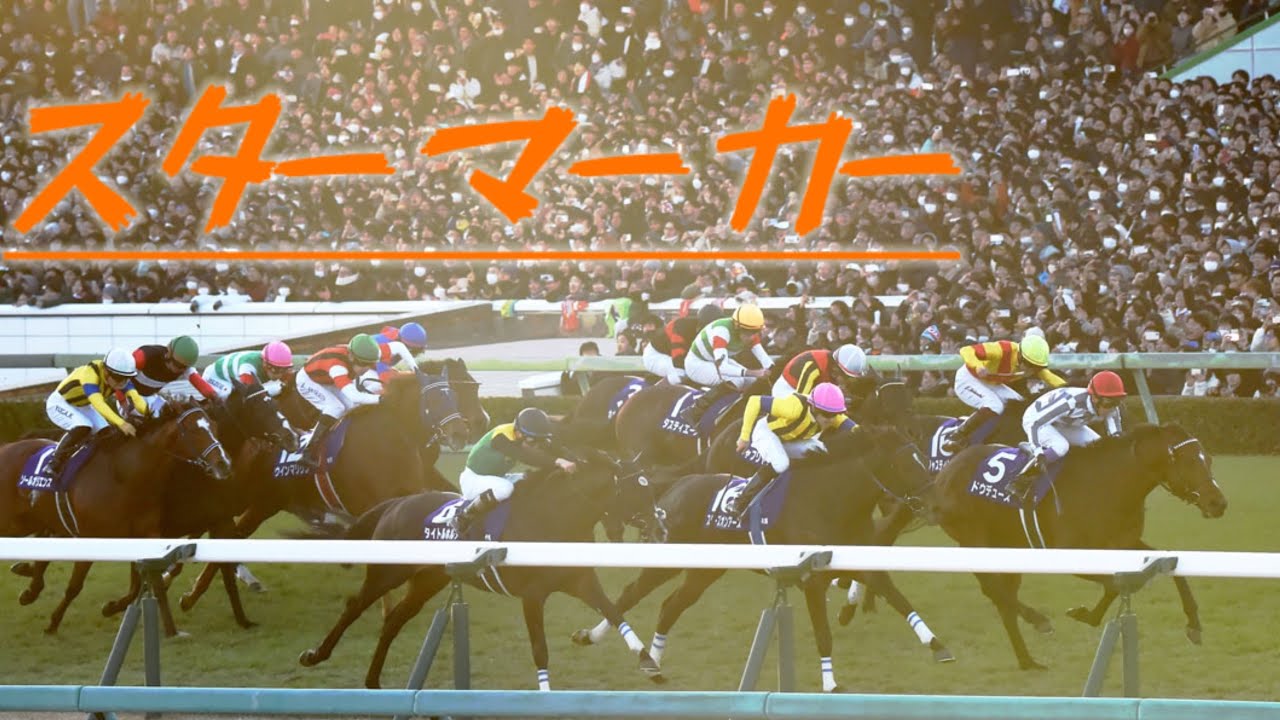 【競馬MAD】スターマーカー
