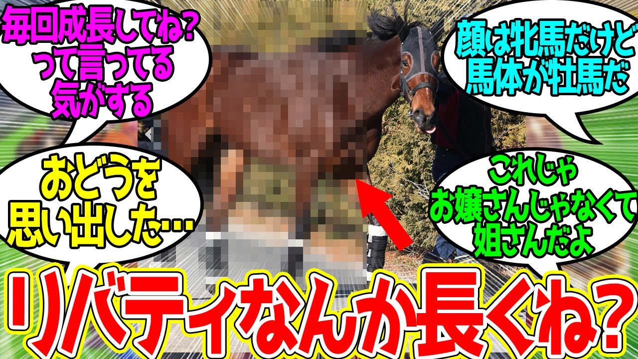 リバティアイランド ← この時期に胴長くなるのはドゥラ産駒の全体的な傾向らしいけど…に対するみんなの反応！【競馬 の反応集】
