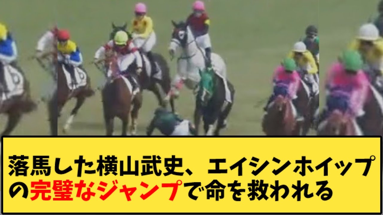 【競馬】「落馬した横山武史、エイシンホイップの完璧なジャンプで命を救われる」に対する反応【反応集】