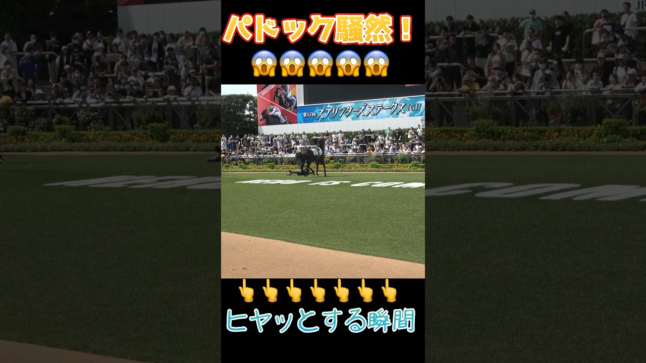 厩務員さんが引きずられるハプニング😱😱😱