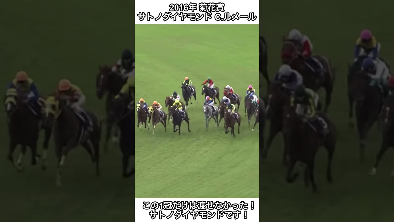 【競馬】やっと！やっと！悲願が叶う！悲願叶ったサトノダイヤモンド！この1冠だけは渡せなかった！#競馬 #菊花賞#サトノダイヤモンド #ルメール #shorts