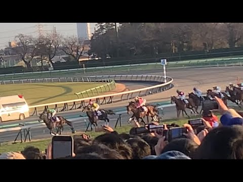 【有馬記念2023】復活のドウドュースと武豊！！ラストランのタイトルホルダー！！大外枠のスターズオンアース！！現地映像ノーカット #有馬記念  #有馬記念2023  #ドウデュース #武豊