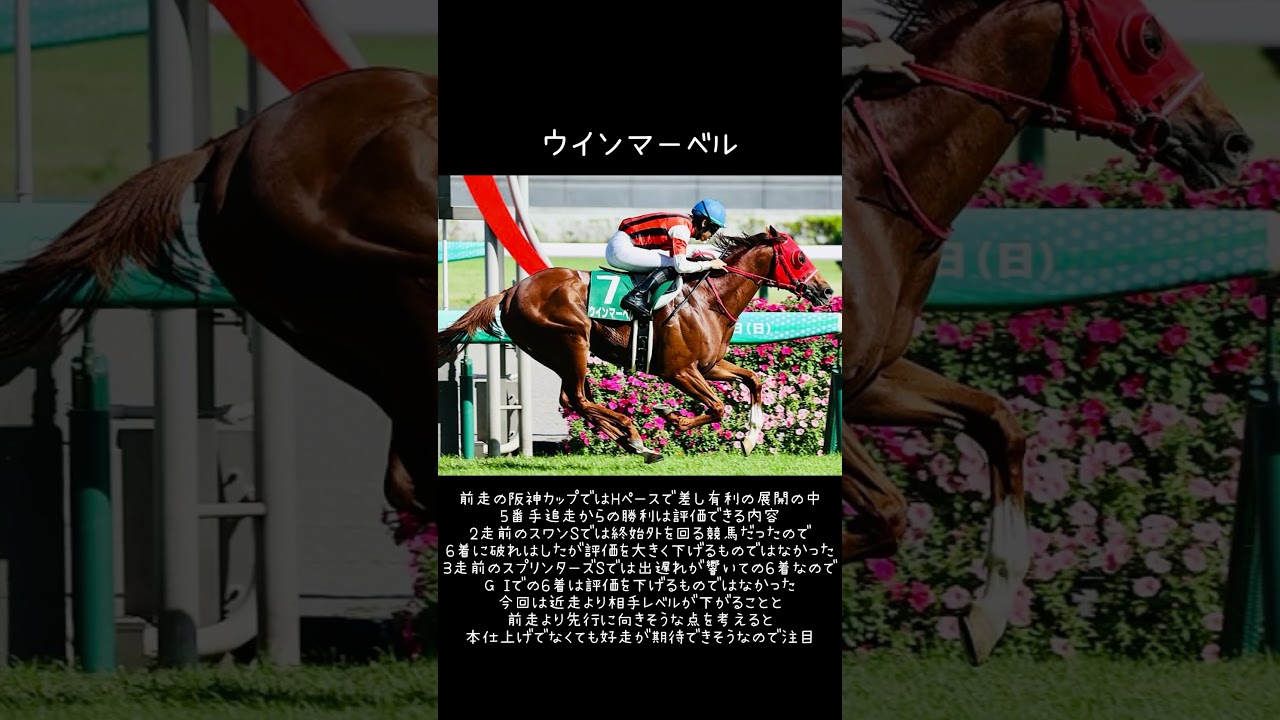 高松宮記念まであと1ヶ月か。【阪急杯GⅢ 2024】 #競馬 #競馬予想 #阪急杯 #ウインマーベル #高評価_コメントよろしくお願いします #チャンネル登録お願いします