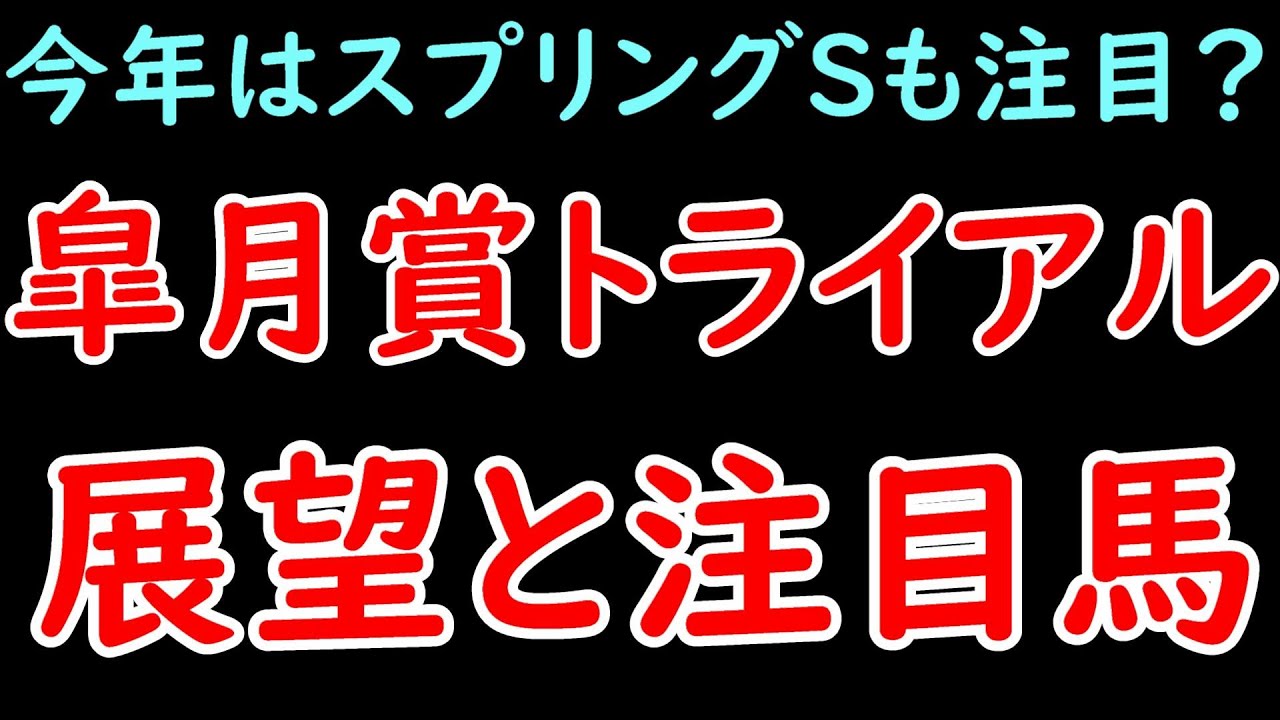 皐月賞トライアル 展望と注目馬 弥生賞＆若葉S＆スプリングSのポイントを解説！【POG2024】