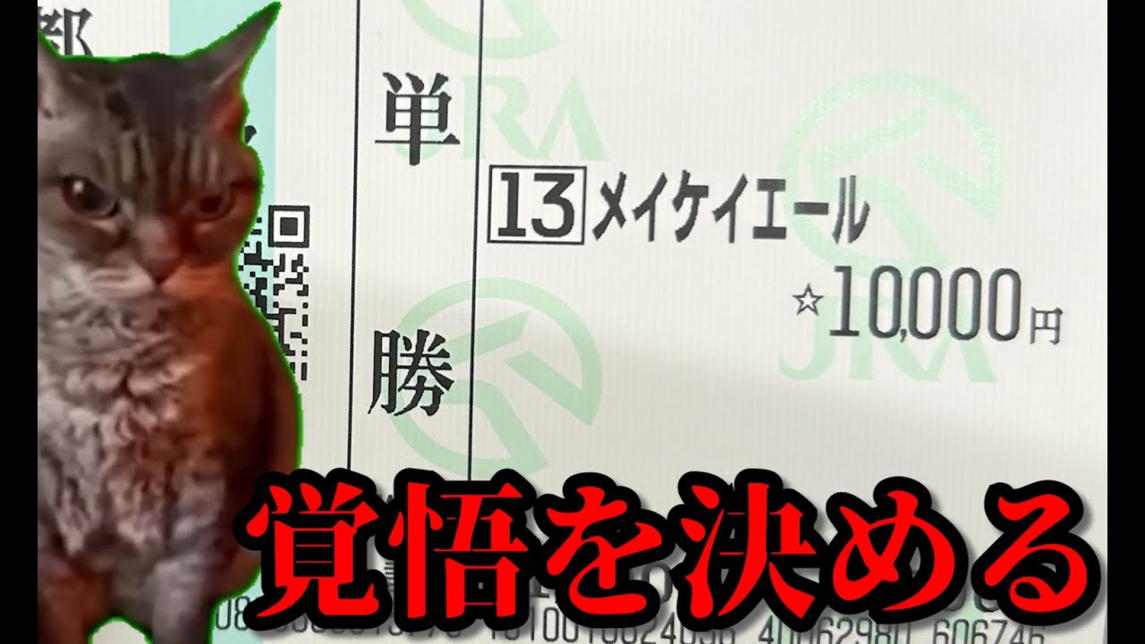 【#メイケイエール】わくわく！楽しい京都旅行記！【#猫ミーム】