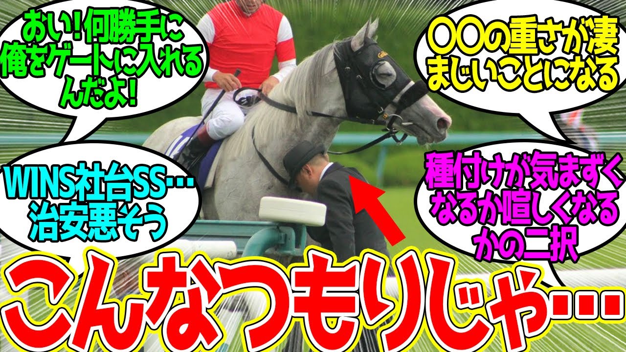 ここだけG1馬が本当に喋れる世界に対するみんなの反応！【競馬 の反応集】