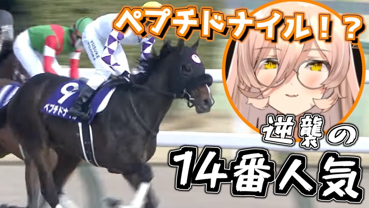 【競馬】波乱の幕開け！G1戦線スタート！魔女と見るフェブラリーステークス2024【ニュイ・ソシエール】