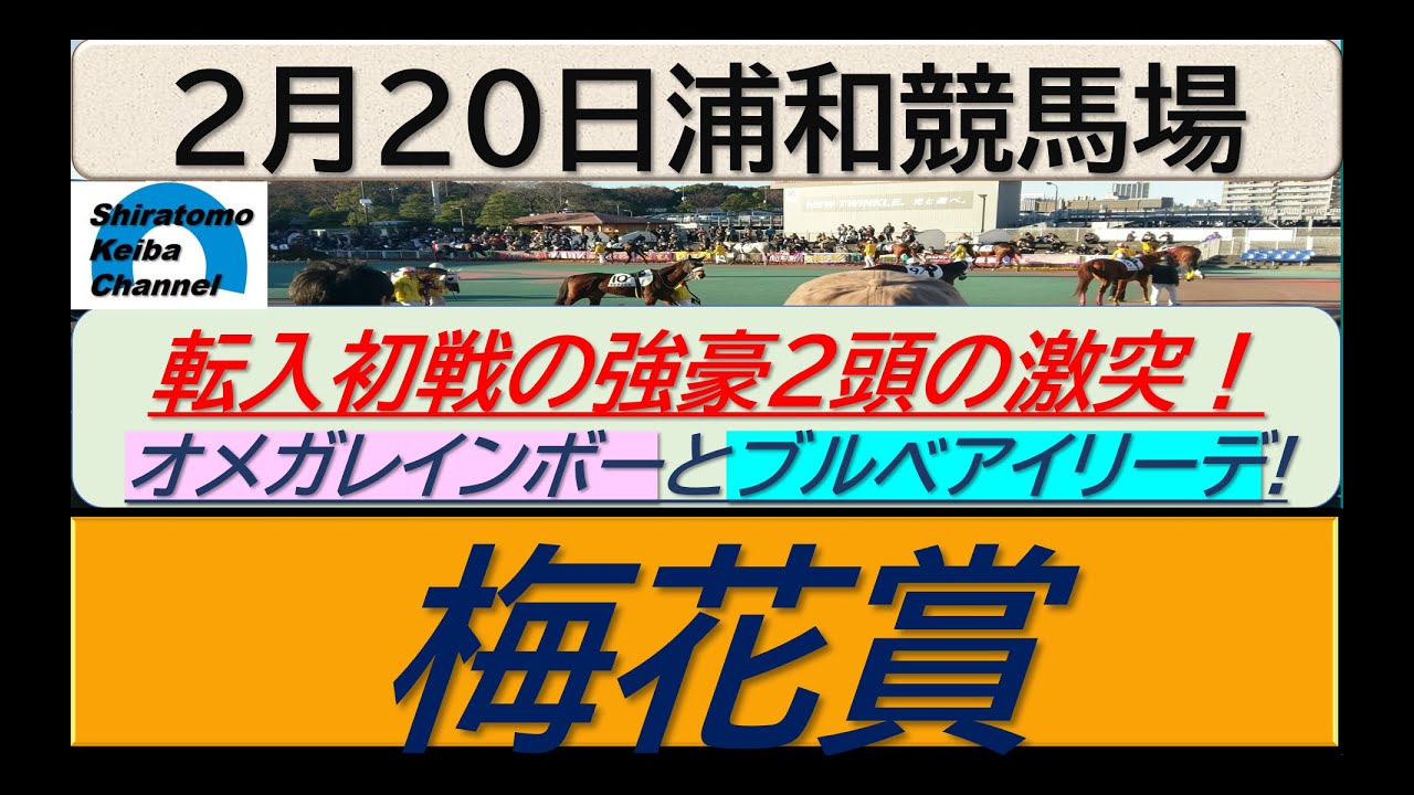 【競馬予想】梅花賞　転入初戦の2頭に熱視線！～２０２４年２月２０日 浦和競馬場 ：２－４２