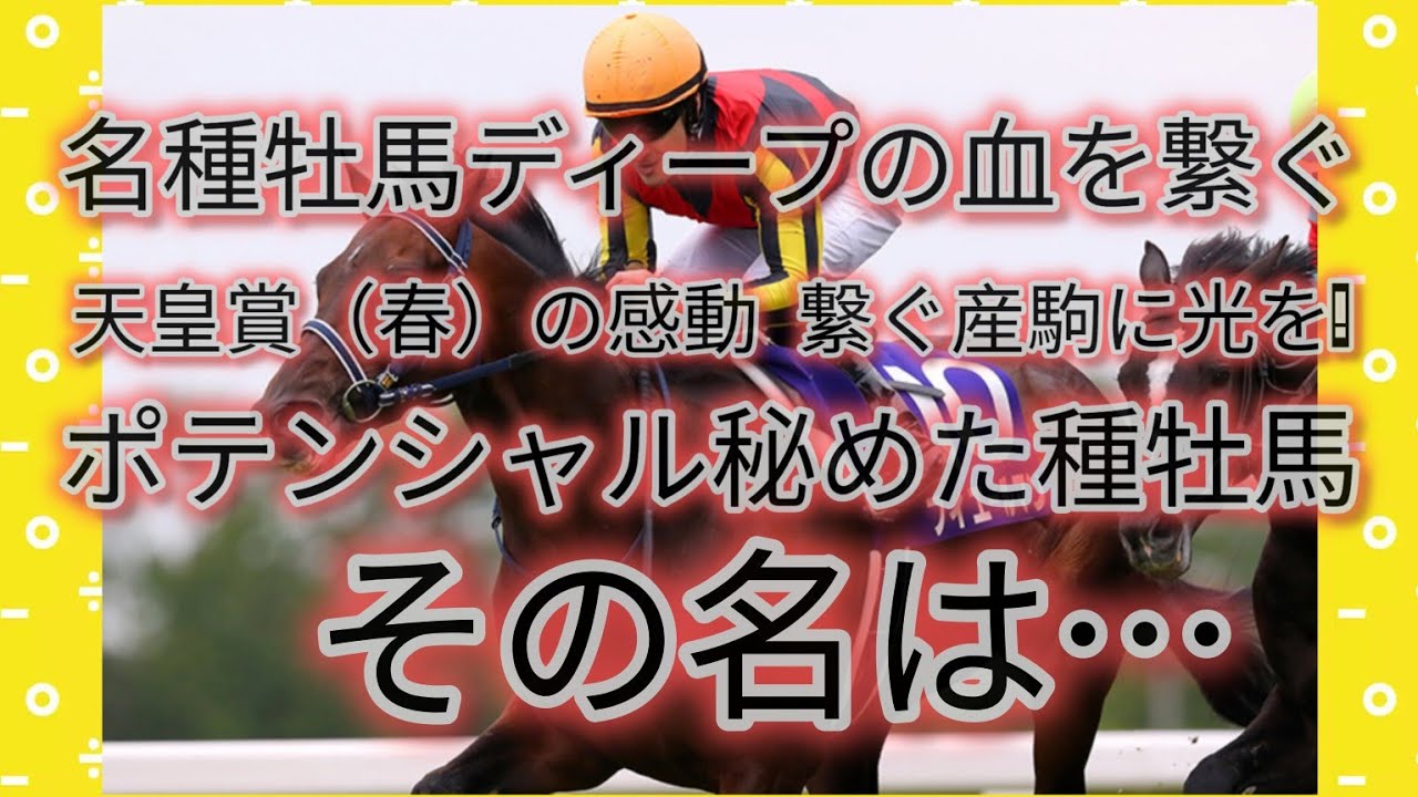 【ブリーダーズスタリオン展示会 ２０２４】ディープインパクトの後継　天皇賞（春）を快勝した同馬のポテンシャルを産駒に届け！大型の馬体に秘めたスタミナ高き機体の種牡馬！  ＃馬 ＃種馬