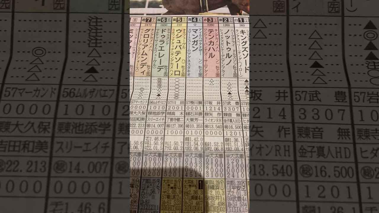 競馬予想🏇東京大賞典　◎ テソーロ