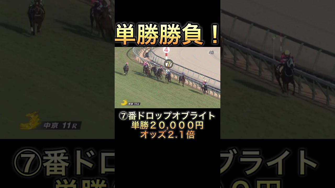 【競馬】馬券勝負！単勝20,000円買ってみた！#競馬