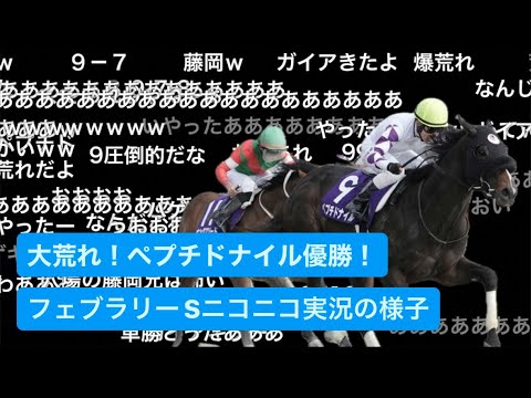 フェブラリーS ニコニコ実況の様子