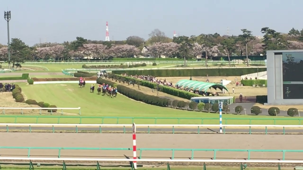 2019中山グランドジャンプ