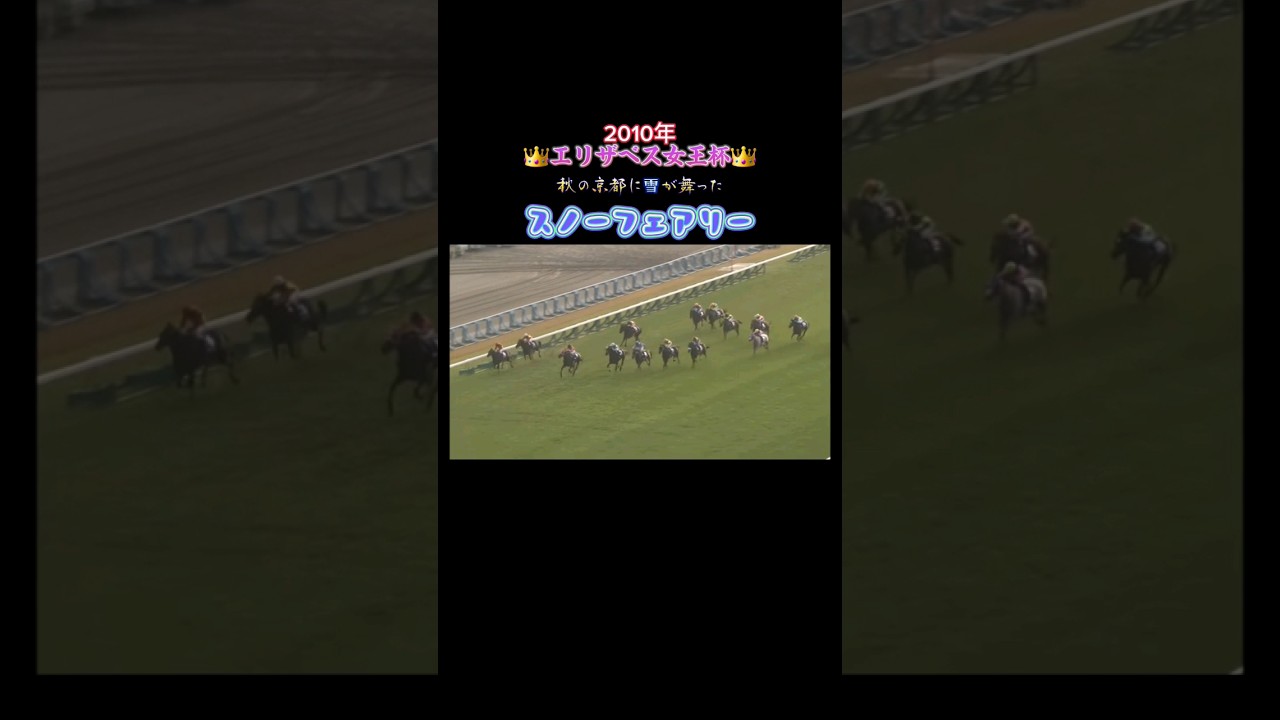 2010年エリザベス女王杯#競馬#G1#武豊#アパパネ#ウマ娘#名実況#jra#リトルアマポーラ