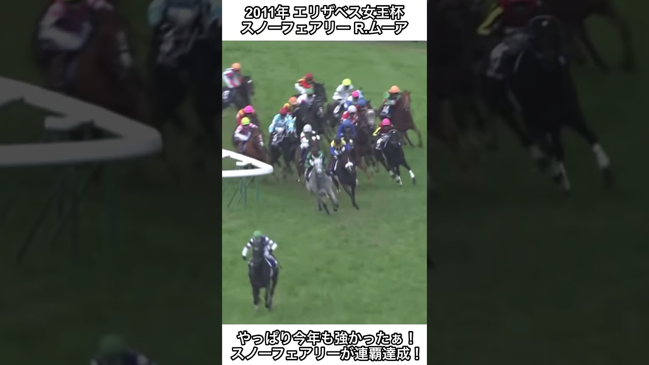 【競馬】やっぱり今年も強かったぁ！やっぱり今年も強かったスノーフェアリー！連覇達成！#競馬 #エリザベス女王杯 #shorts