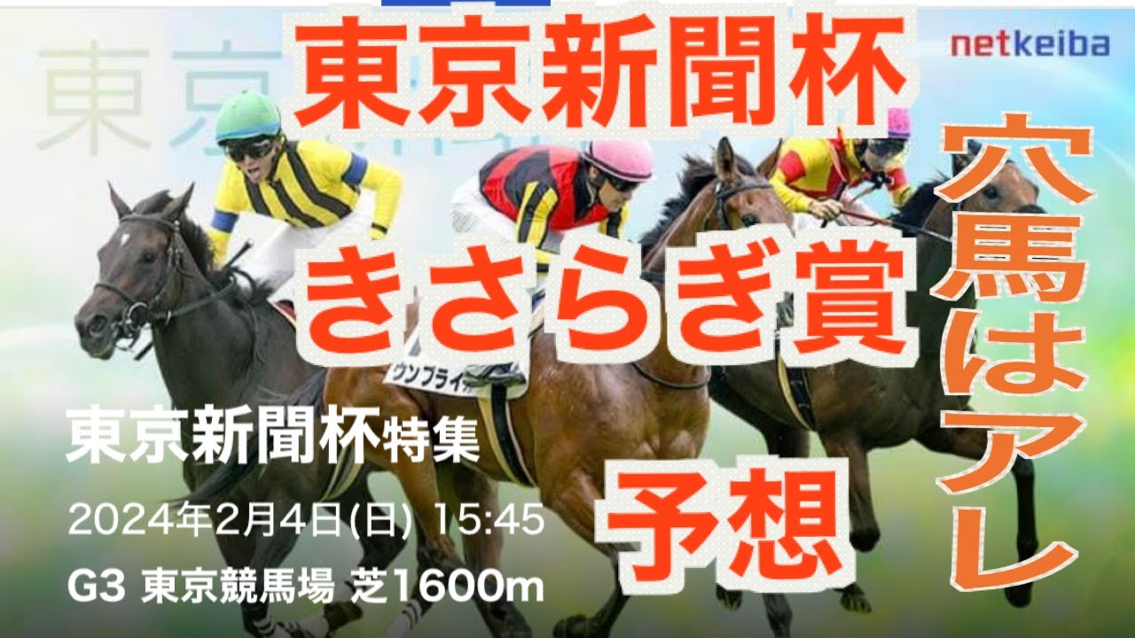 #競馬 東京新聞杯/きさらぎ賞予想！穴馬コレだ！