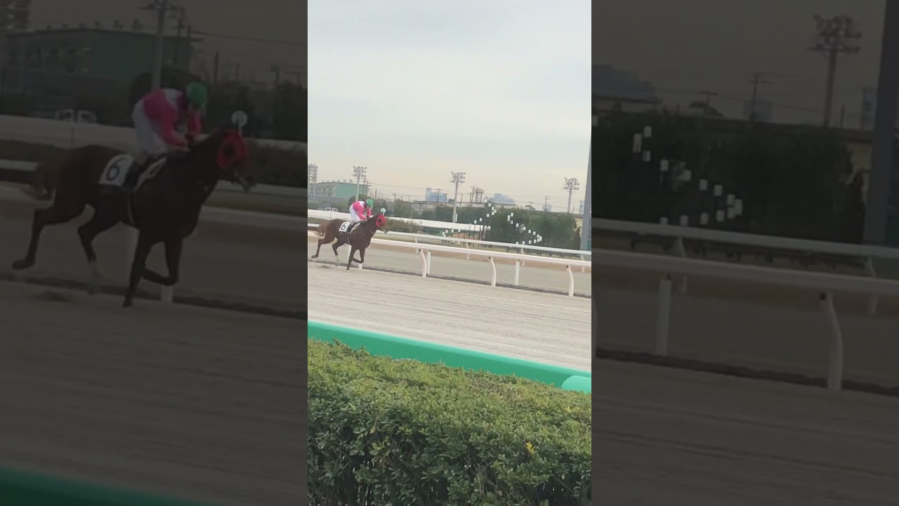 2024年1月18日　船橋競馬第1R 最後のストレート