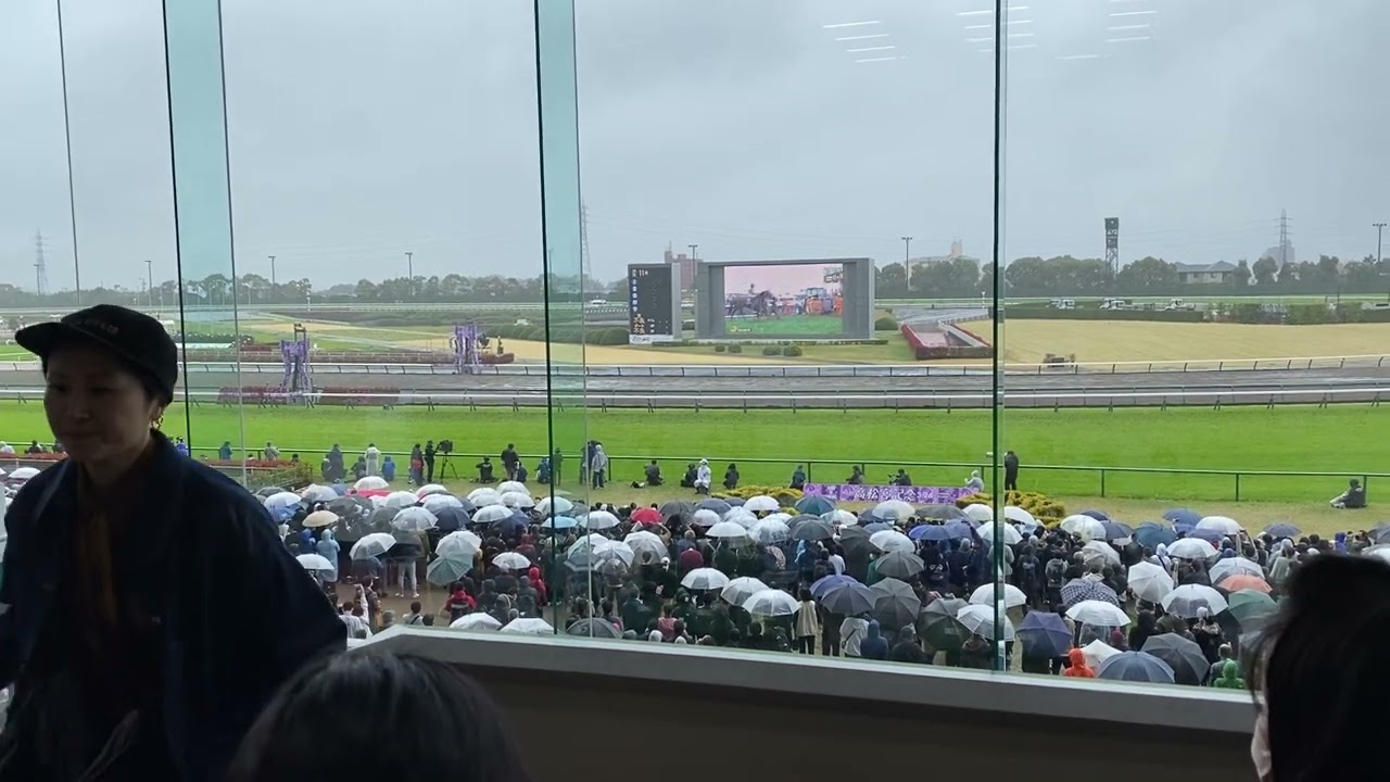 2023年高松宮記念、メイケイエール単勝赤スパした男の視点