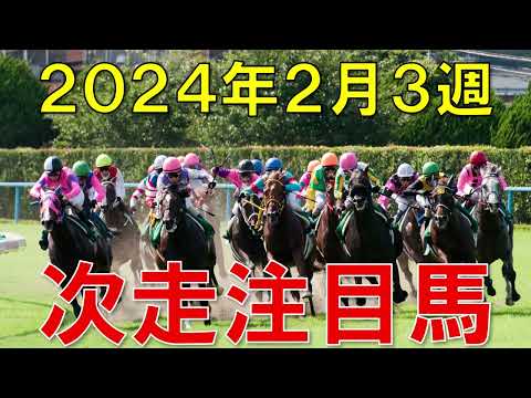 JRA競馬予想 平場 予想 回顧から狙いたい注目馬＆先週の振り返り【2024年2月17日・18日】