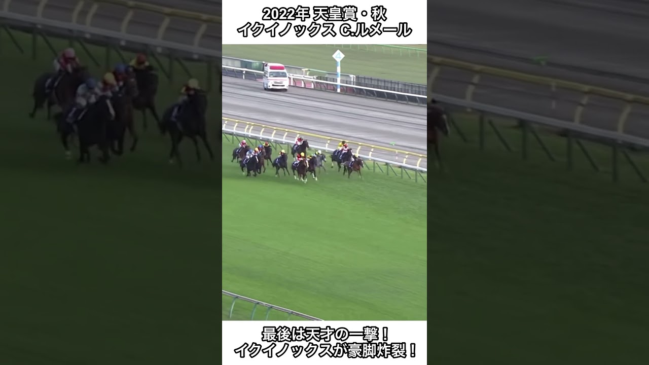 【競馬】最後は天才の一撃！イクイノックスが豪脚炸裂でG1初制覇！#競馬 #天皇賞秋 #イクイノックス #shorts
