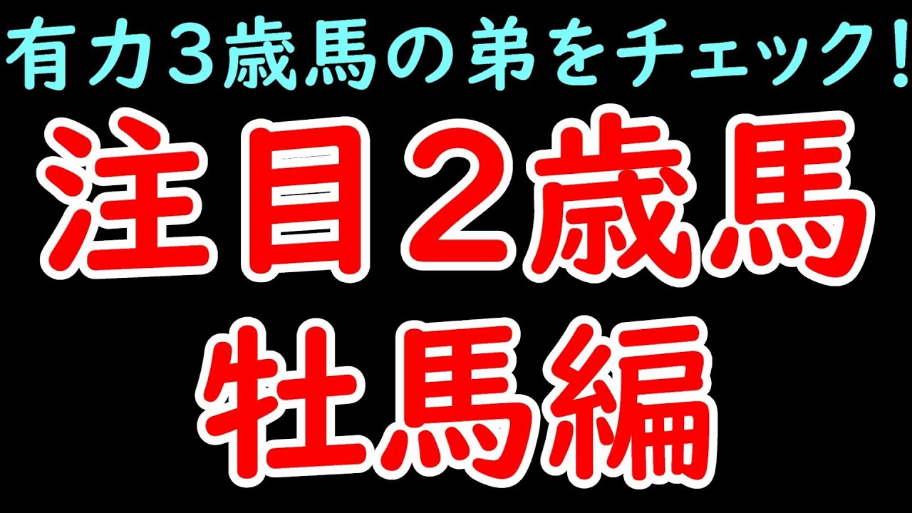 注目の2歳馬5選牡馬編！アスコリピチェーノ/チェルヴィニア/ダノンエアズロックなどの弟をチェックしておこう！【POG2024】