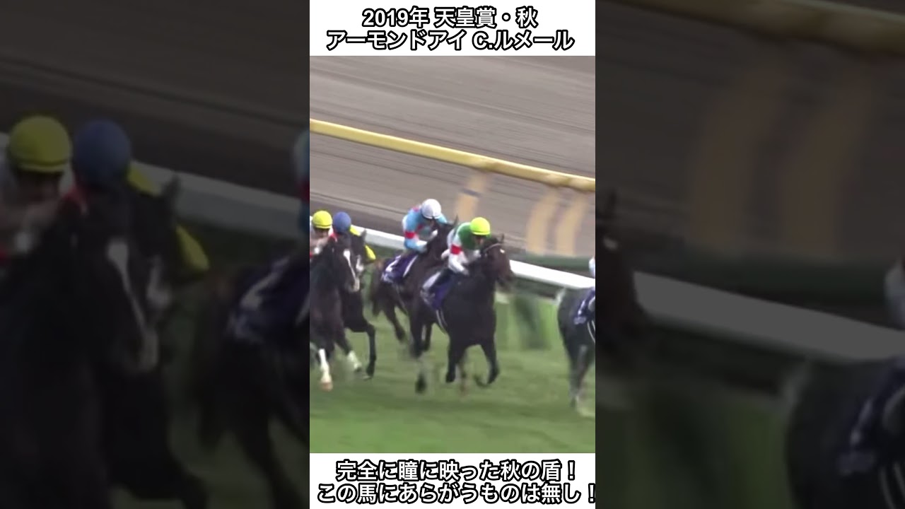 【競馬】完全に瞳に映った秋の盾！アーモンドアイ1着ゴールイン！この馬にあらがうものはなし！#競馬 #天皇賞秋 #アーモンドアイ #shorts #ルメール