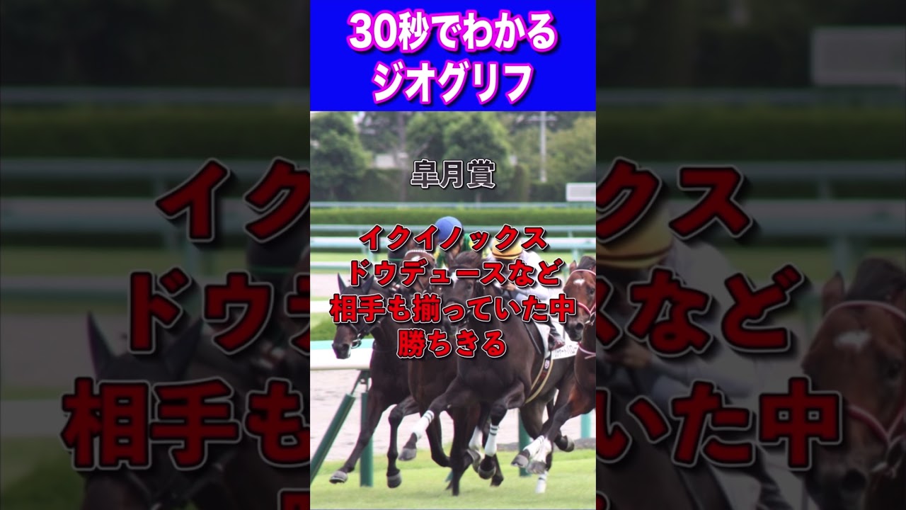 【中山記念2024】30秒でわかるジオグリフ