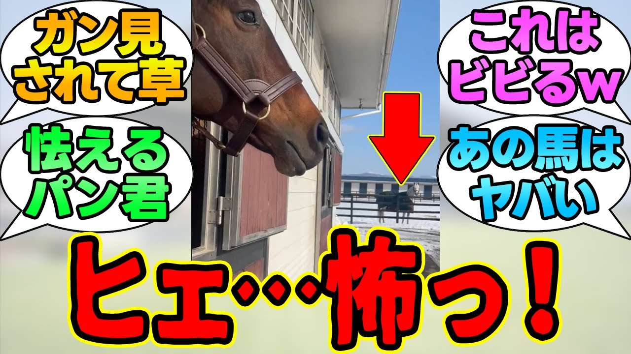 パンサラッサ「あの…やばい馬いるんすけど…」に対する競馬民の反応集